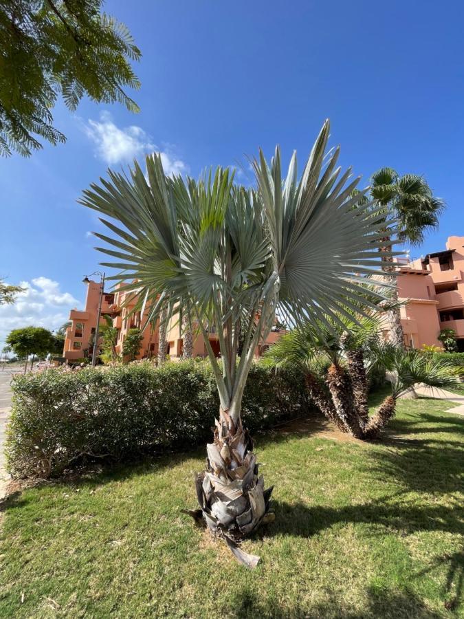 Appartement Spirit Of Mar Menor à Torre-Pacheco Extérieur photo